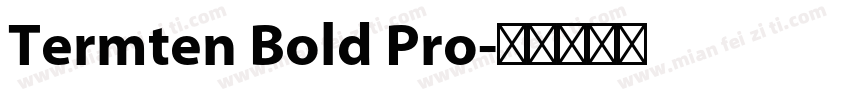 Termten Bold Pro字体转换
